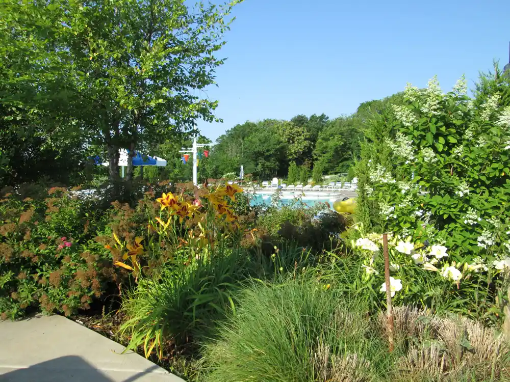 Providing service in Landscape Architecture