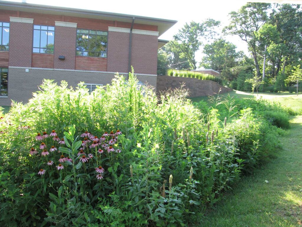 Sunset Hills Aquatic Center, Bioretention Basin