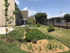 Jesuit Archives & Research Center Bioretention Basin